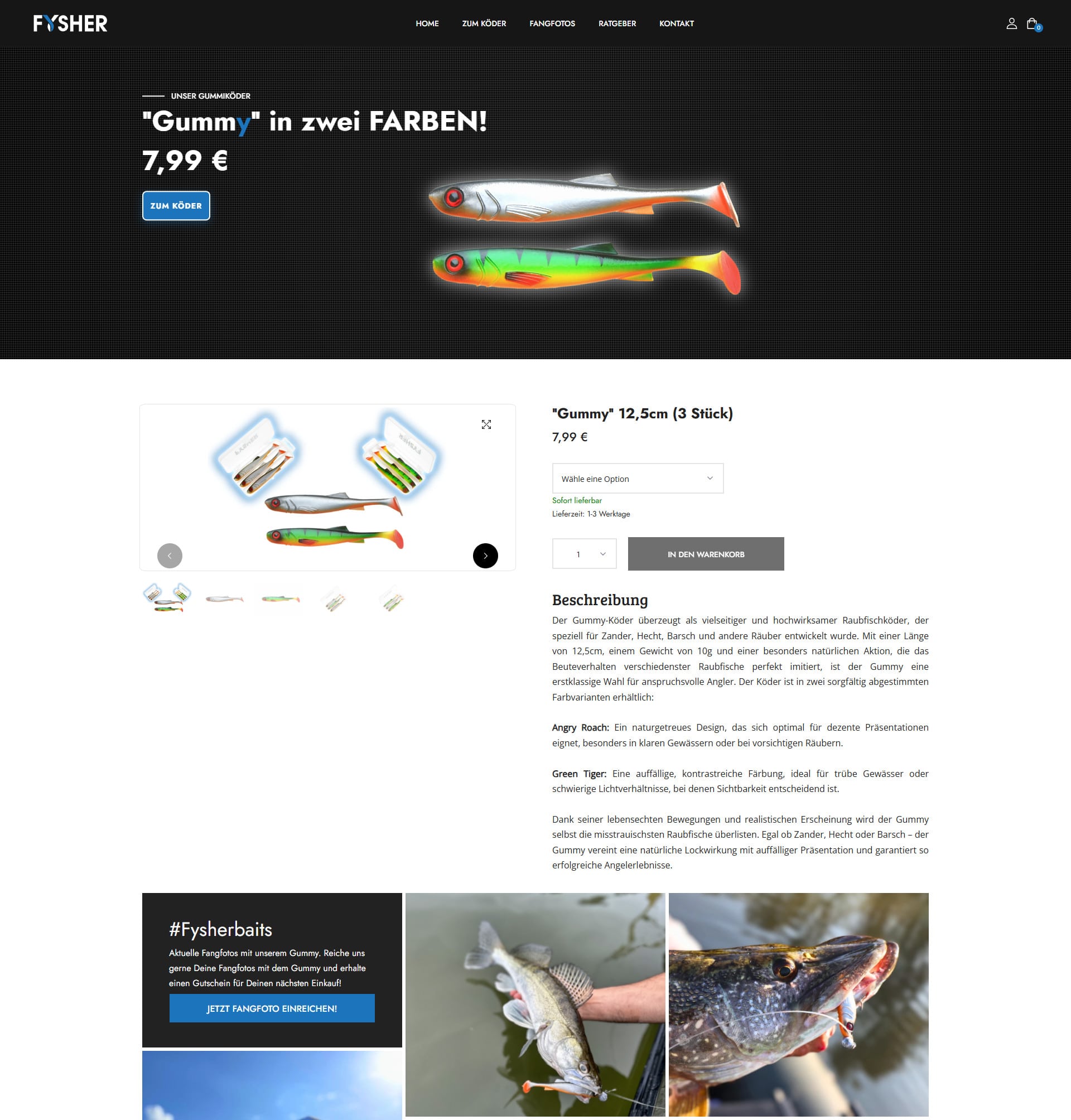Webdesign Dienstleister Dortmund